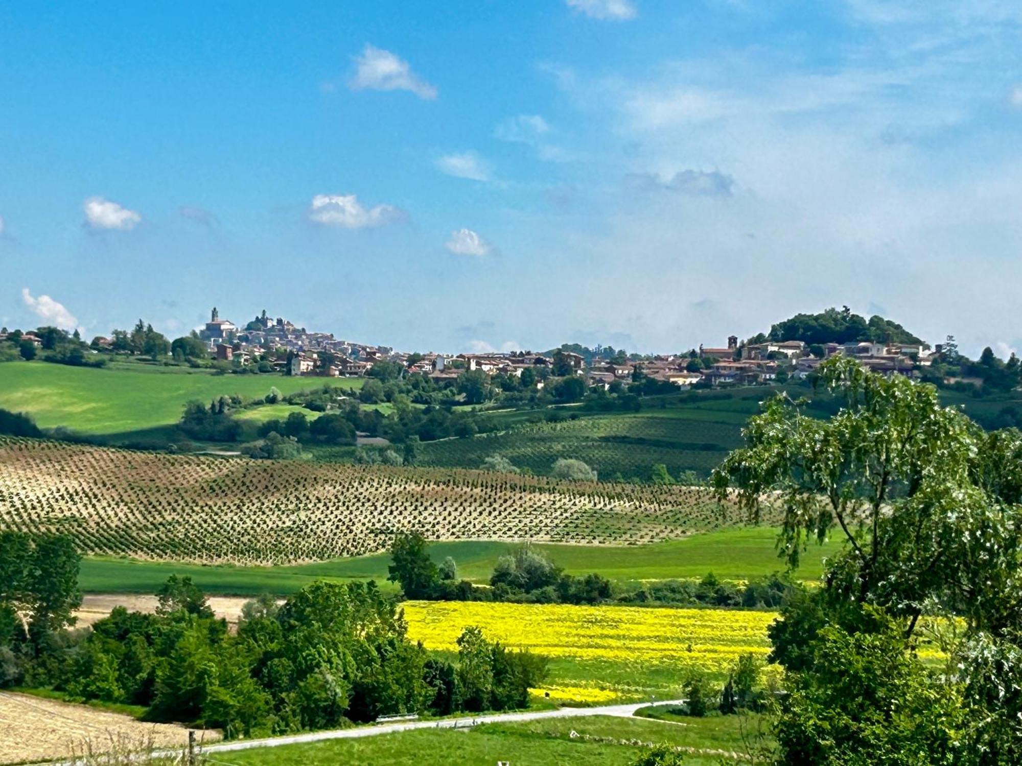 Casa Feliciani - Monferratohome Viarigi Екстер'єр фото